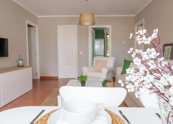 Ef6a Albatros * San Vicente De La Barquera